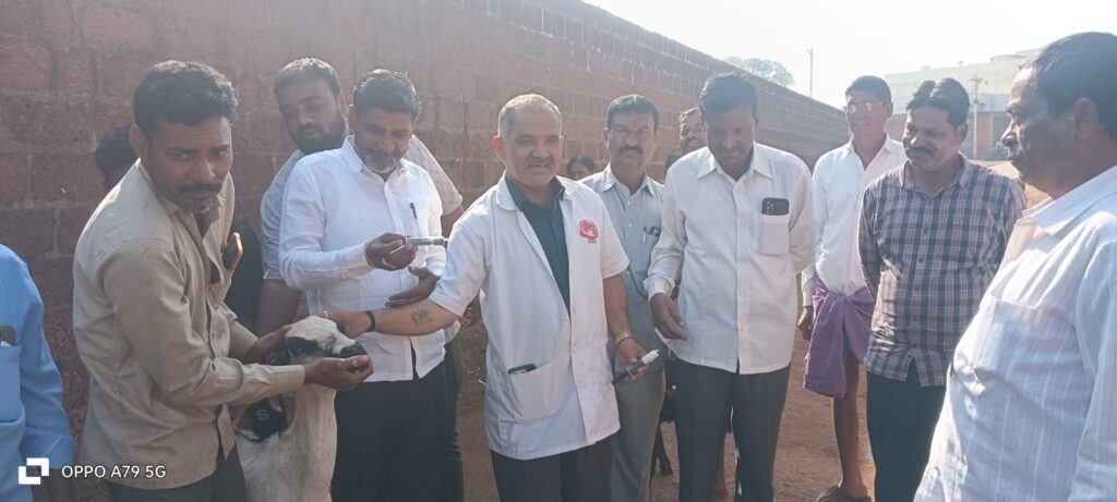 మొగుడంపల్లి మండల కేంద్రంలో మేకలు–గొర్రెలకు ఉచిత నట్టల నివారణ మందు కార్యక్రమం ఘనంగా ప్రారంభం