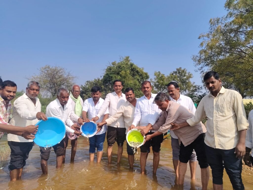 మత్స్యకారులు ఆర్థికంగా ఎదగాలి : మెలిగిరిపేట చెరువులో చేప పిల్లల విడుదల