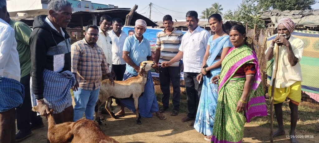 సర్పంచ్–పశువైద్యాధికారి ఆధ్వర్యంలో నట్టల నివారణ కార్యక్రమం