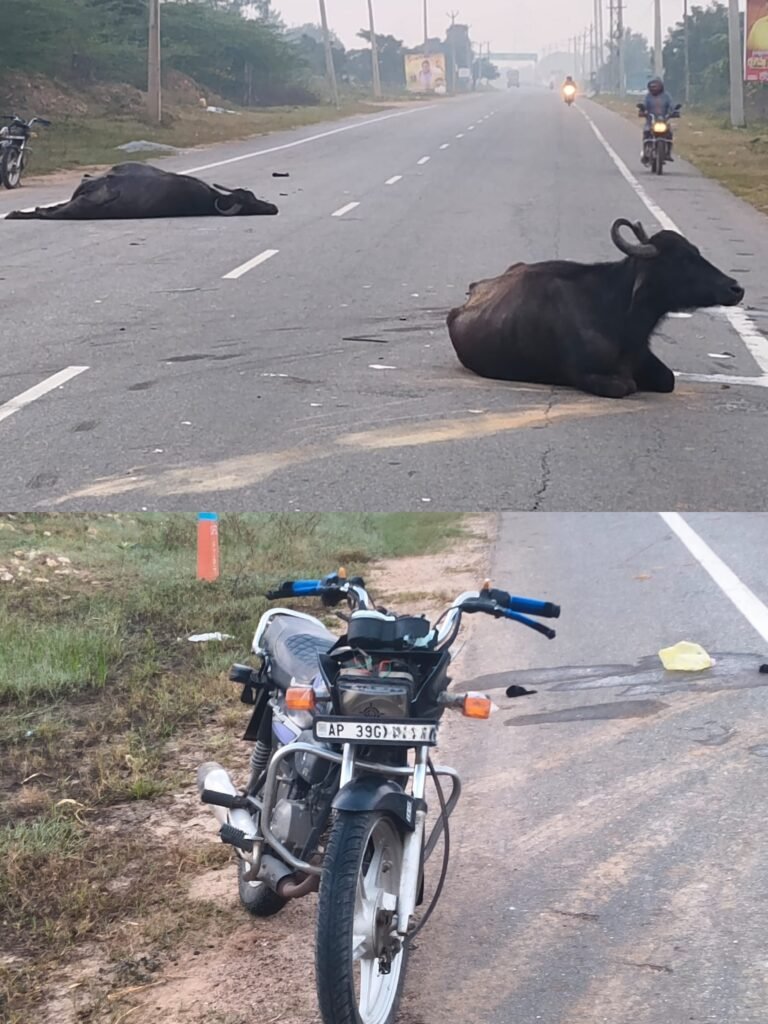 ఘనమైన పొగమంచుతో రోడ్డు ప్రమాదం