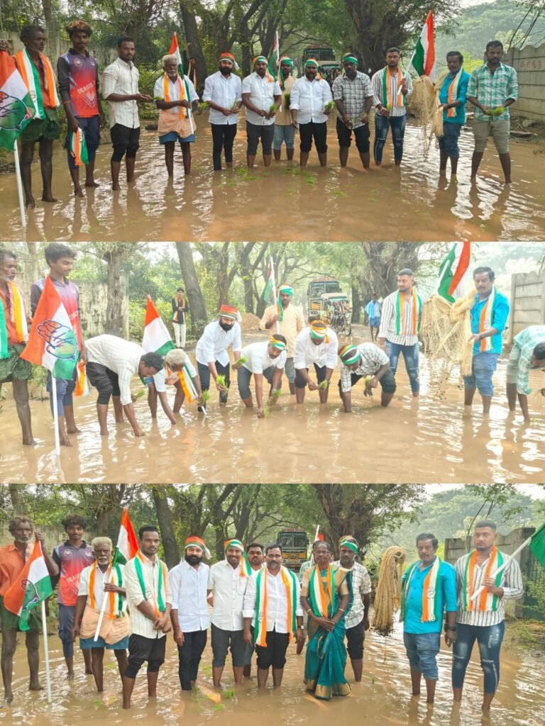 వేడాం రోడ్డు కాదు… వరి పొలం!