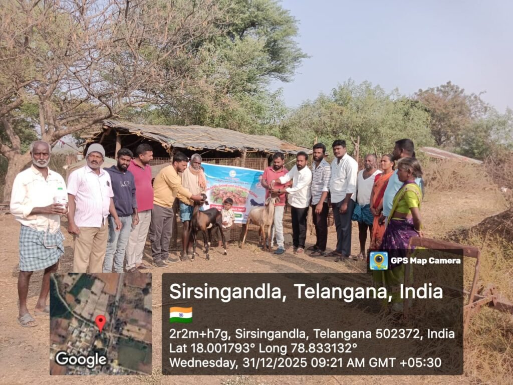 పశుసంవర్ధక శాఖ ఆధ్వర్యంలో నట్టల నివారణ మందుల ఉచిత పంపిణీ,