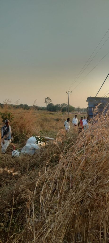 విద్యుత్ షాక్‌తో ఎద్దు మృతి – రైతుకు రూ.80 వేల నష్టం