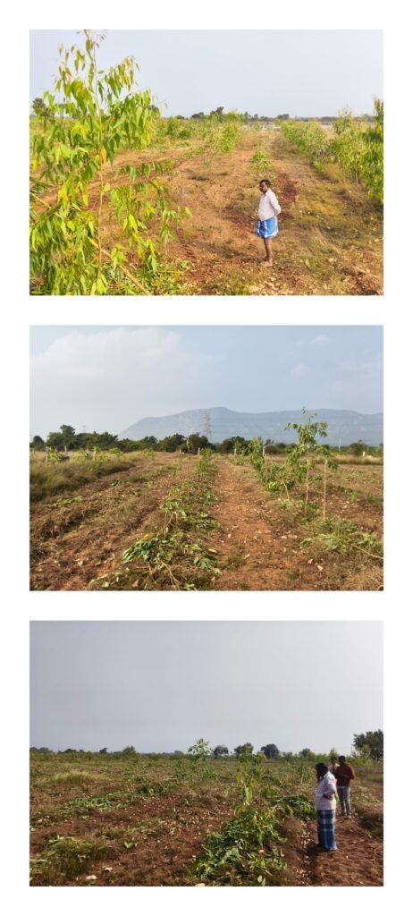 ఏర్పేడు మండలంలో భూకబ్జాదారుల రాజ్యం!