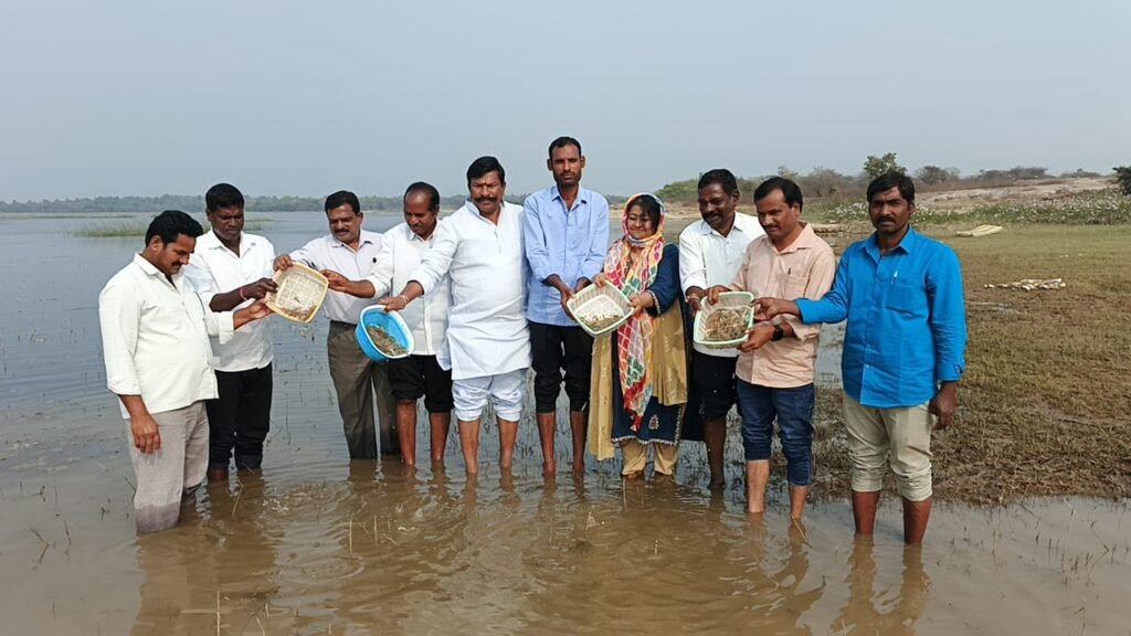 పోచారం రిజర్వాయర్‌లో ఆరు లక్షల రొయ్య పిల్లల విడుదల
