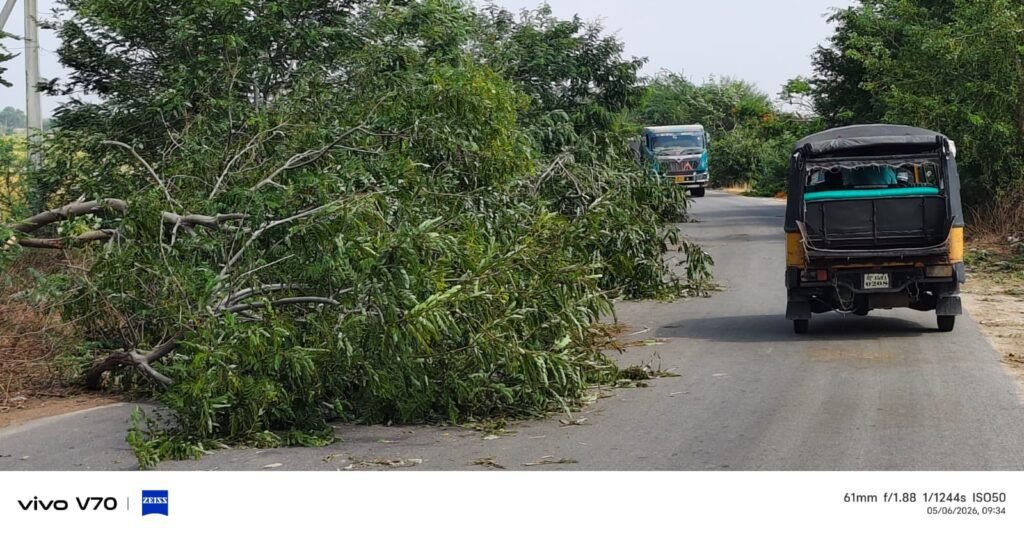 రాయపోల్ మండలంలో నడిరోడ్డుపై పడిన చెట్లు&nbsp; అధికారుల నిర్లక్ష్యంపై వాహనదారుల ఆగ్రహం