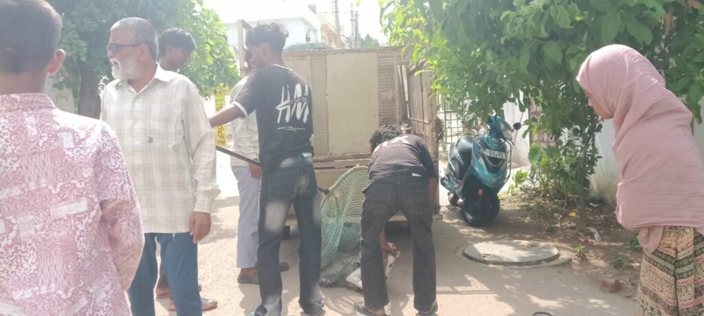 13వార్డ్ లో కుక్కల బాధ