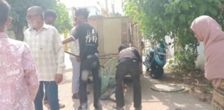 13వార్డ్ లో కుక్కల బాధ