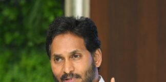 స్థానిక ఎన్నికలపై జగన్ దిశానిర్దేశం