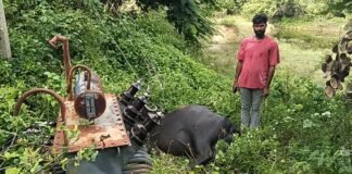 మూగజీవి ప్రాణం తీసిన విద్యుత్ నిర్లక్ష్యం..!
