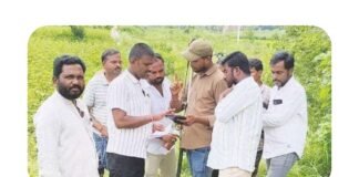 271 సర్వే నంబర్లో అధికారుల సర్వే
