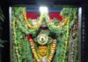 శాకాంబరీ దేవిగా దుర్గామాత దర్శనం