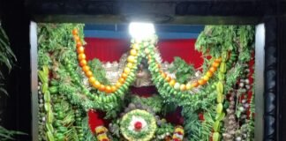 శాకాంబరీ దేవిగా దుర్గామాత దర్శనం