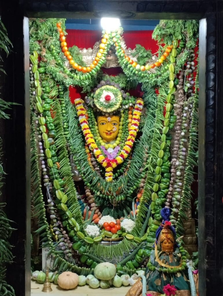 శాకాంబరీ దేవిగా దుర్గామాత దర్శనం