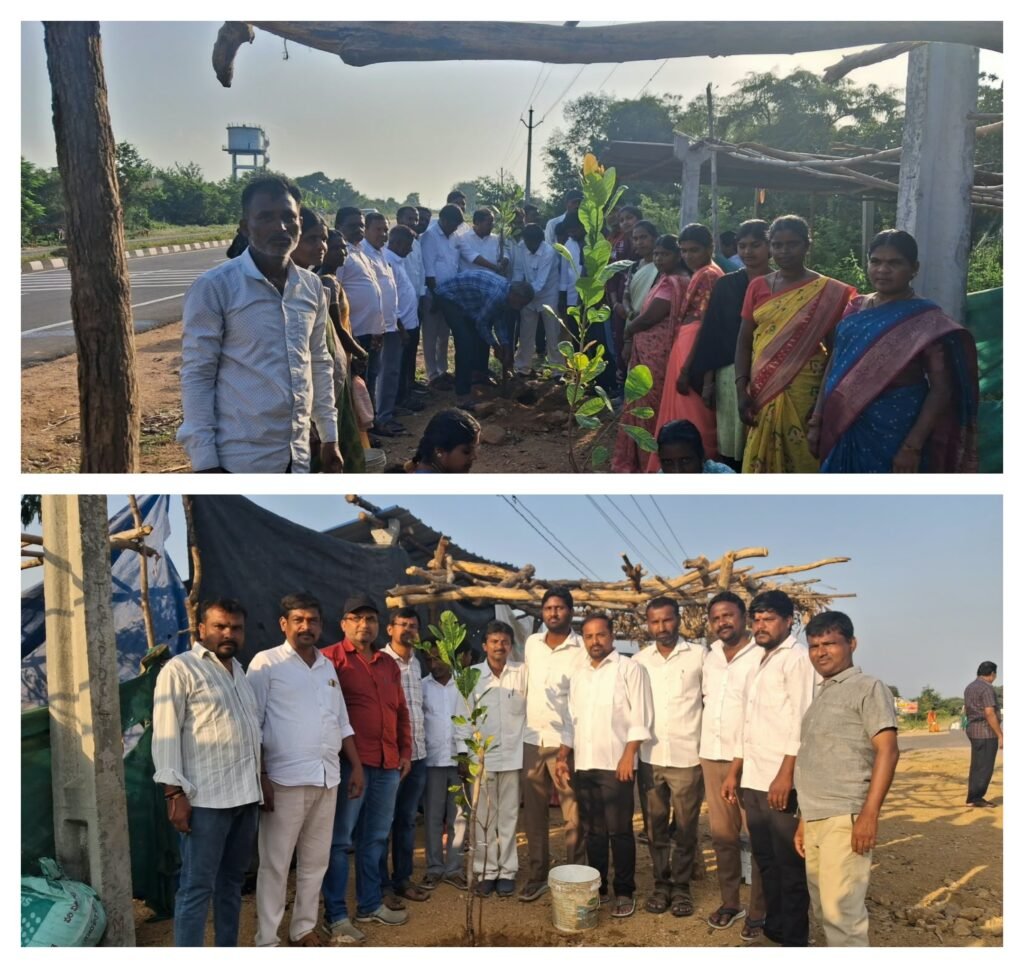 పచ్చదనమే ప్రగతికి ప్రతీక