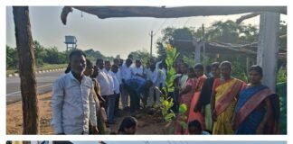 పచ్చదనమే ప్రగతికి ప్రతీక